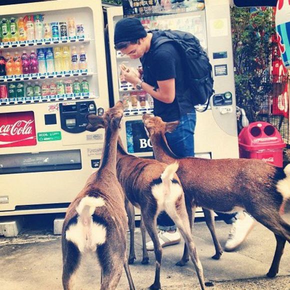 Meet your Posher, Zach - Picture 1 of 1